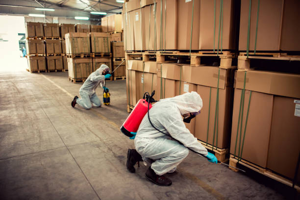 Best Affordable Pest Control Services  in Farragut, TN