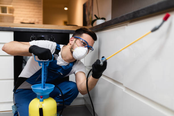 Best Pest Inspection Near Me  in Farragut, TN