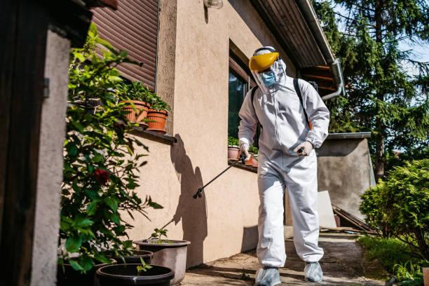 Best Wasp Removal Services  in Farragut, TN