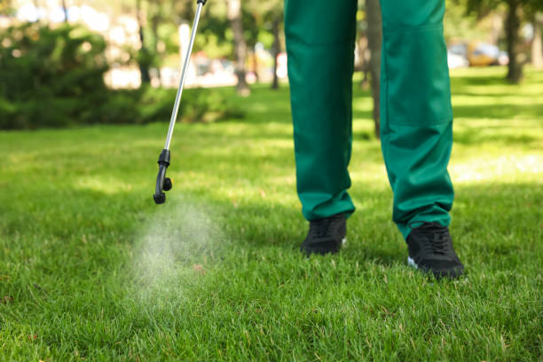 Best Bed Bug Extermination  in Farragut, TN