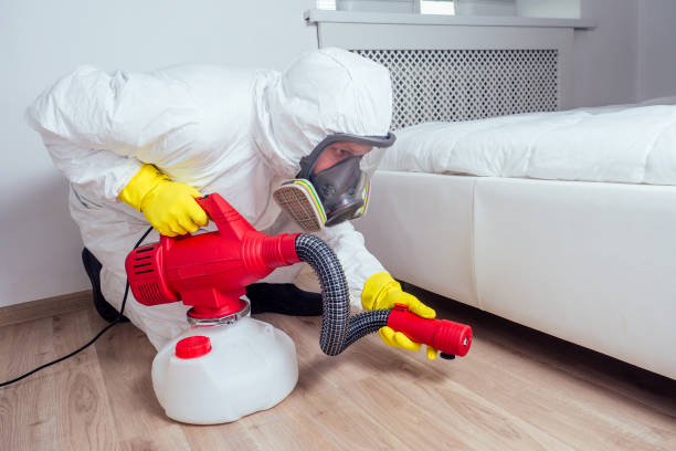 Best Pest Control Near Me in Farragut, TN