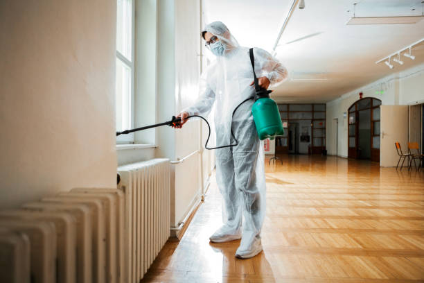 Best Flea Control Services  in Farragut, TN